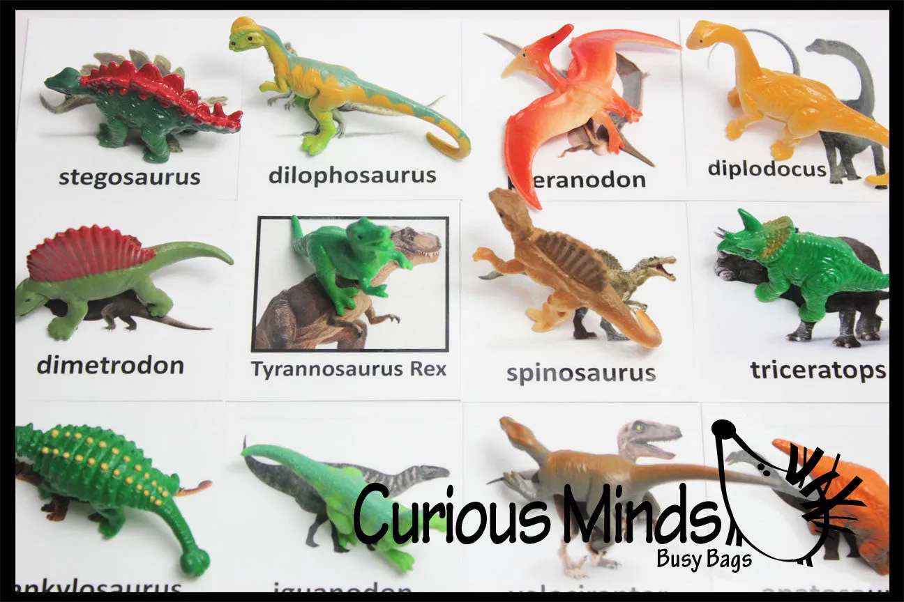 Animal Match - DINOSAURS - Miniature Animals with Matching Cards - 2 Part Cards.  Montessori learning toy, language materials - Dinosaurs
