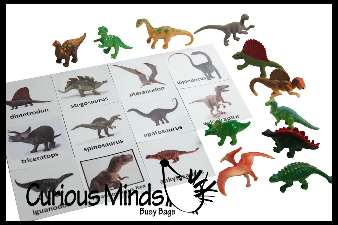 Animal Match - DINOSAURS - Miniature Animals with Matching Cards - 2 Part Cards.  Montessori learning toy, language materials - Dinosaurs