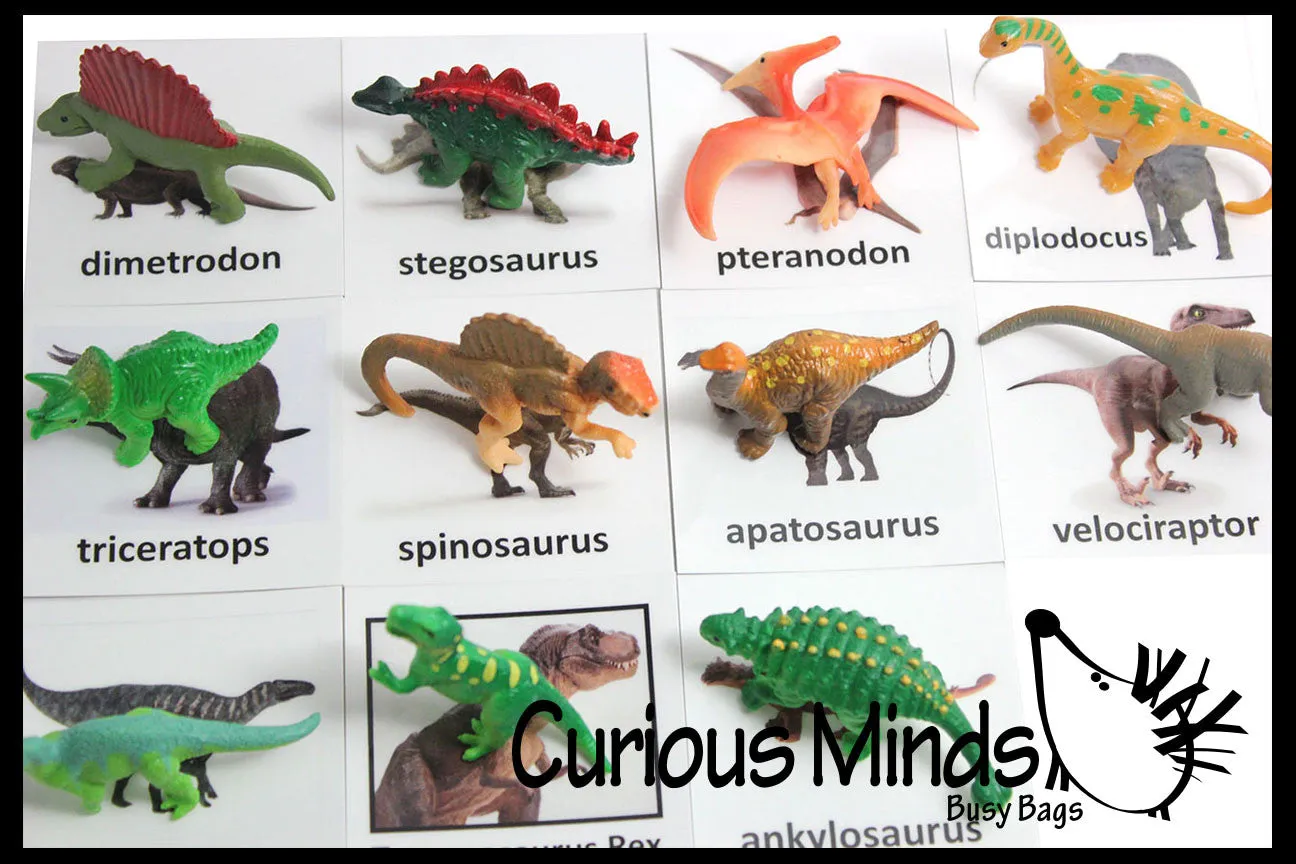 Animal Match - DINOSAURS - Miniature Animals with Matching Cards - 2 Part Cards.  Montessori learning toy, language materials - Dinosaurs
