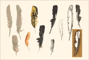 BD-247 Artistic Feathers - Vintage Image
