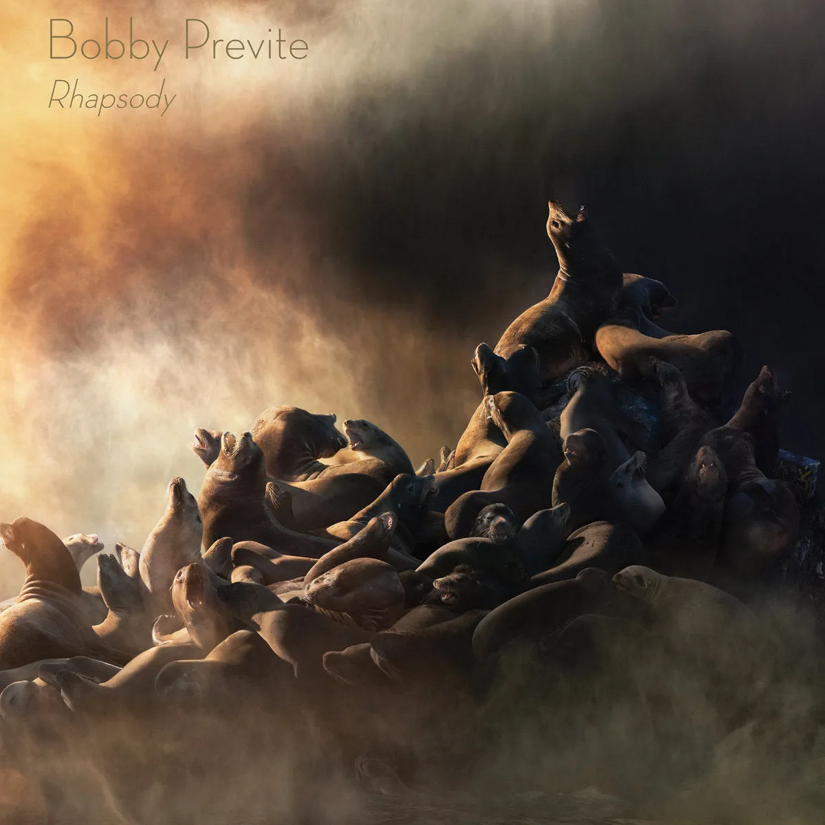 BOBBY PREVITE - RHAPSODY (2LP) VINYL