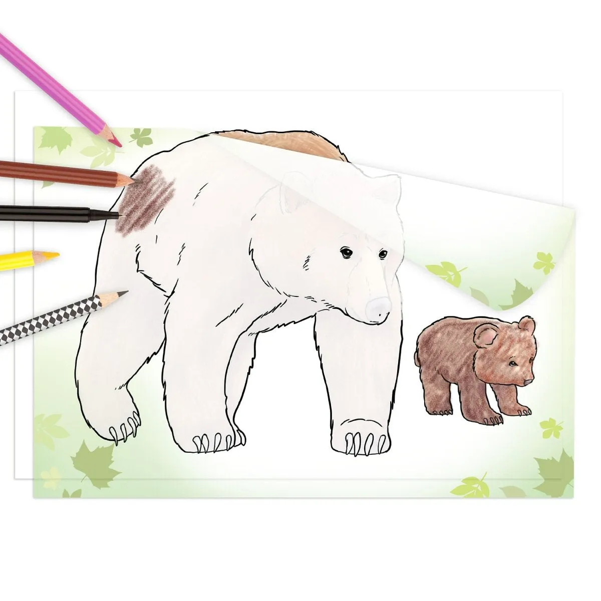 Depesche Wildlife Copy & Colouring Book