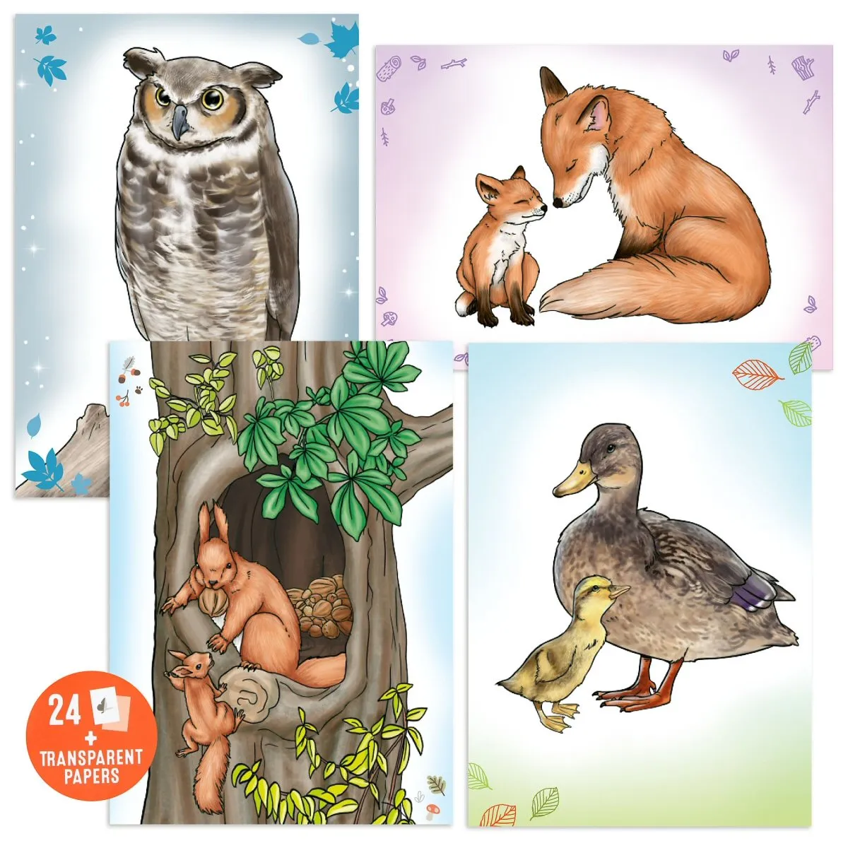Depesche Wildlife Copy & Colouring Book