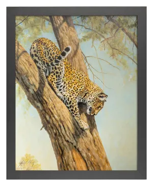 Graceful - Art Prints