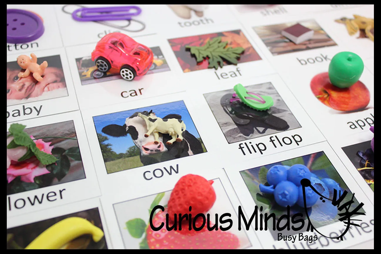 LAST CHANCE - LIMITED STOCK - Montessori Object Match with Cards- Miniature Objects with Matching Cards - 2 Part Cards.  Montessori learning toy, language materials