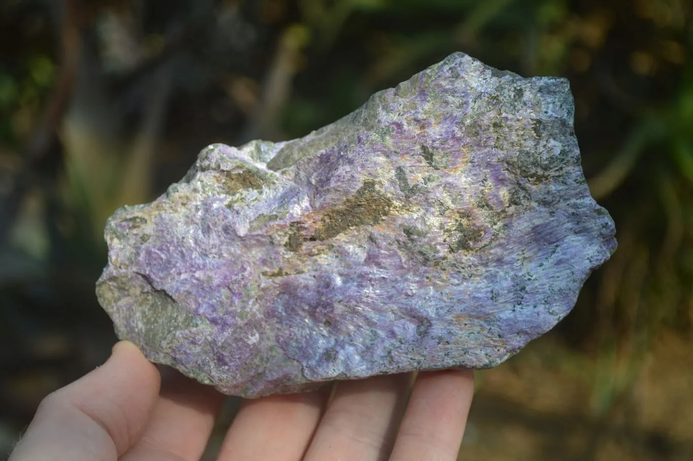 Natural Stichtite Specimens x 6 From Barberton, South Africa