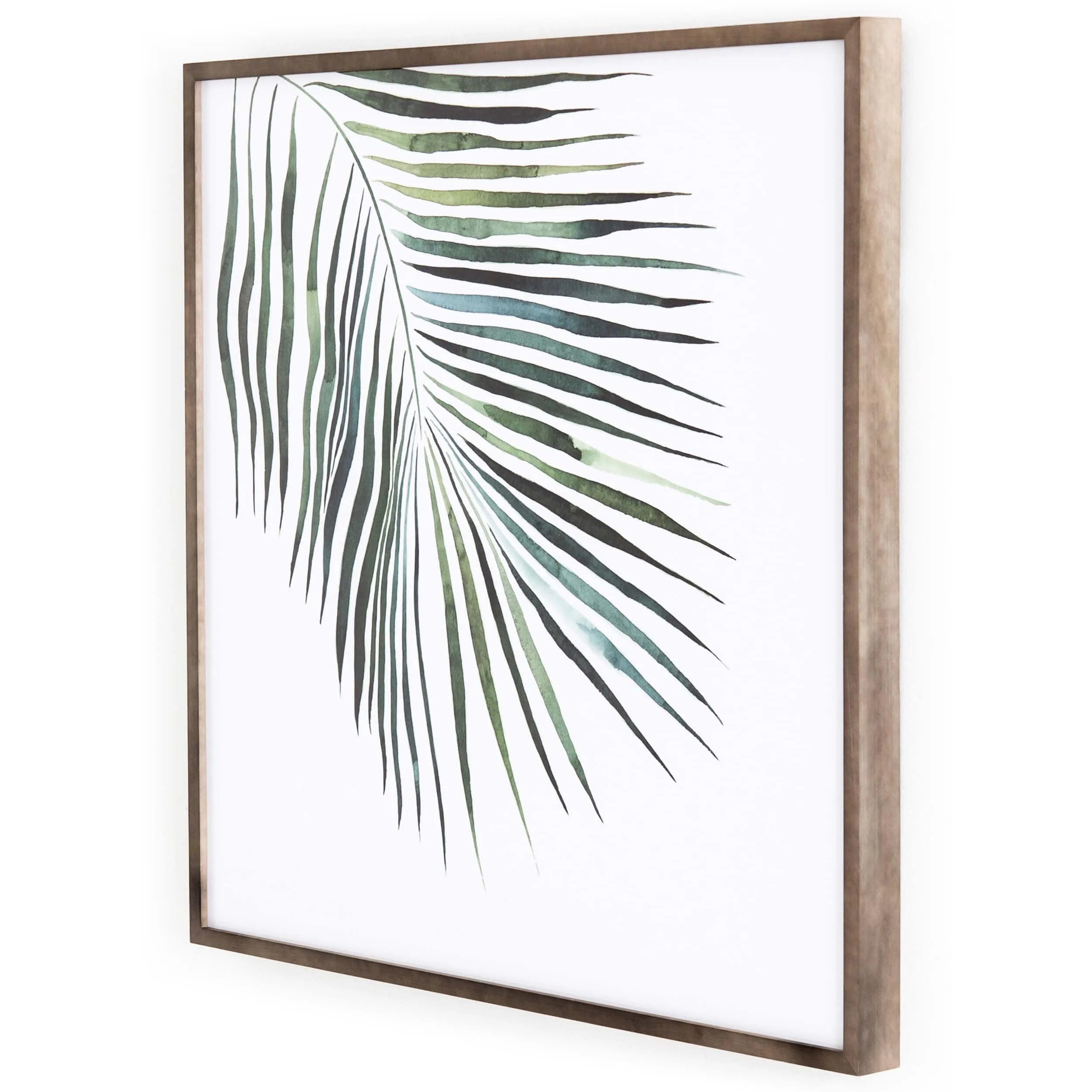Palm by Jess Engle