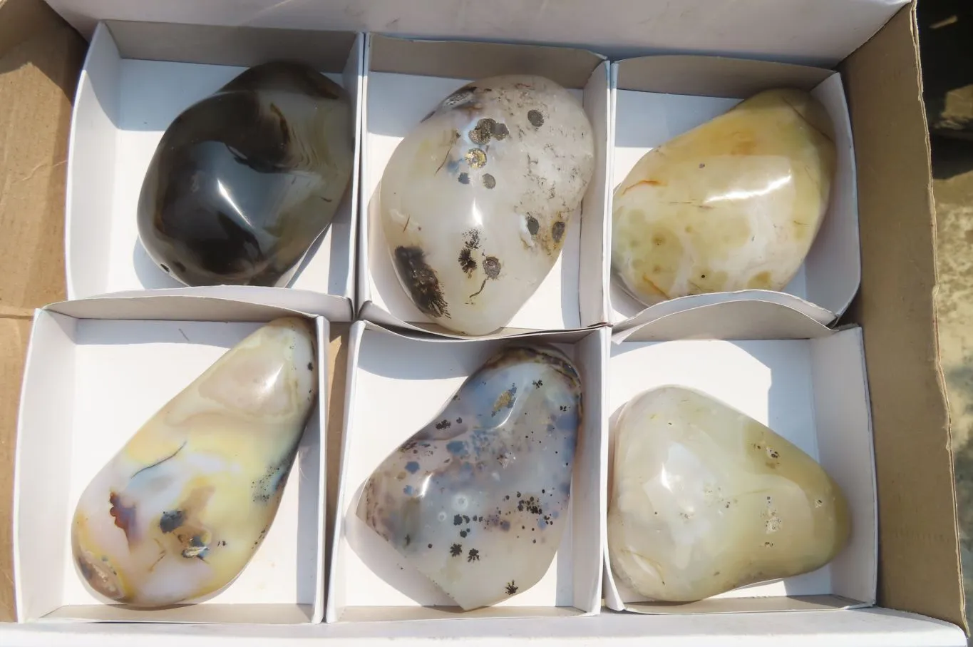 Polished on One Side Dendritic Agate Free Forms x 6 From Madagascar
