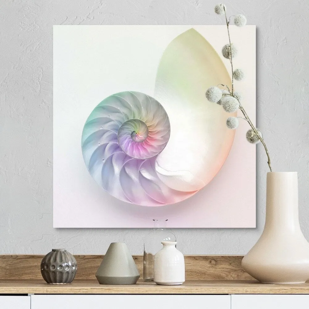 "Artistic colored nautilus image" Canvas Wall Art - Multi