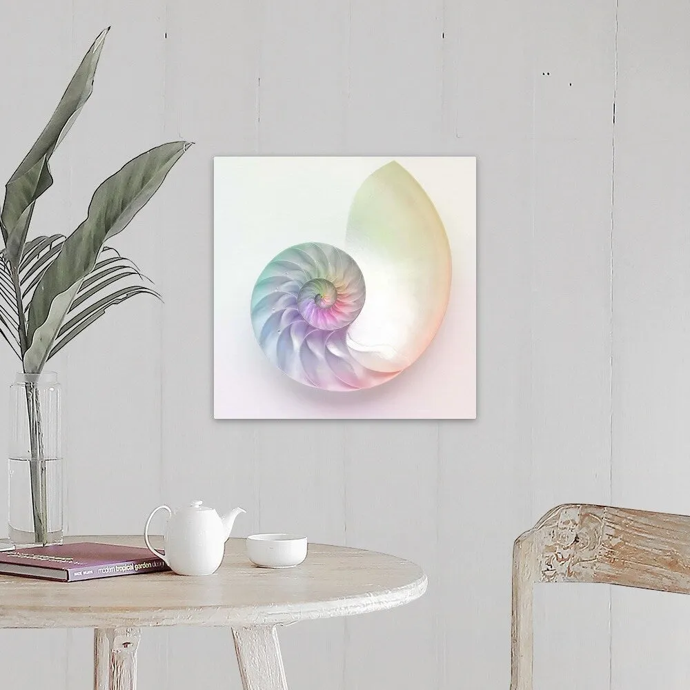 "Artistic colored nautilus image" Canvas Wall Art - Multi