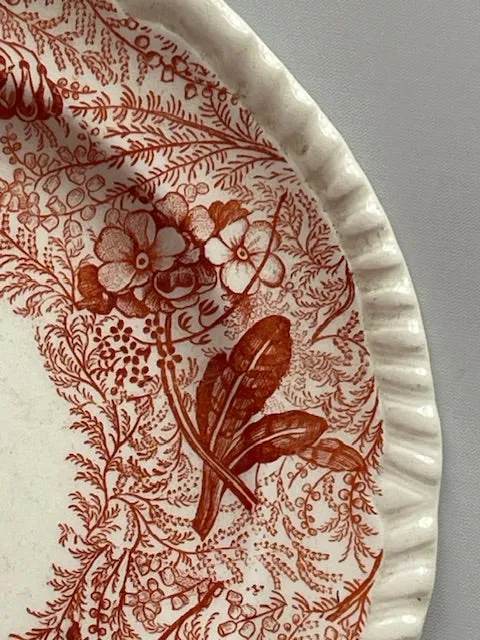 rare Pheasants Bi-Color Brick Red & Black Spode Copeland Transferware Plate