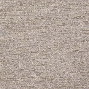 TUSSAH OYSTER